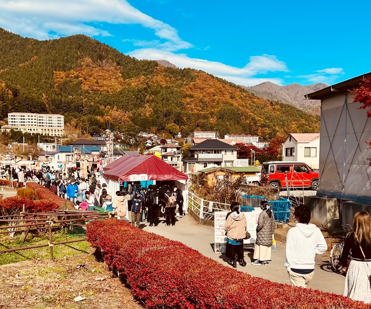 富士河口湖红叶节