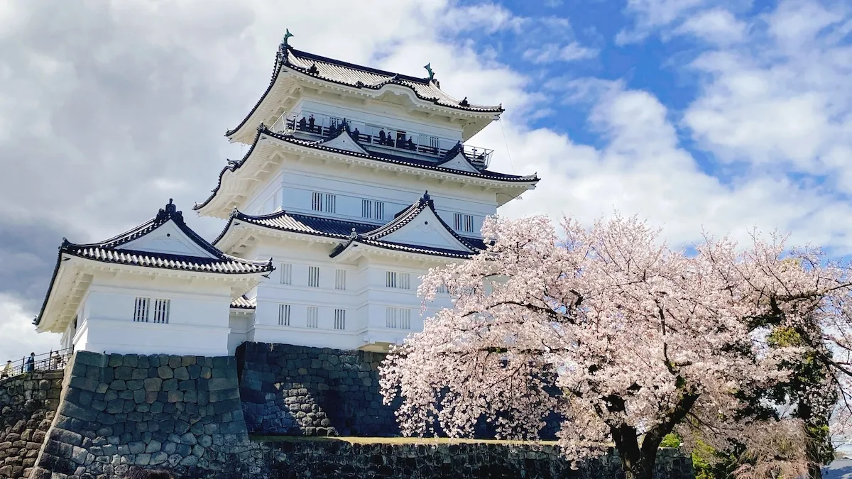 小田原城