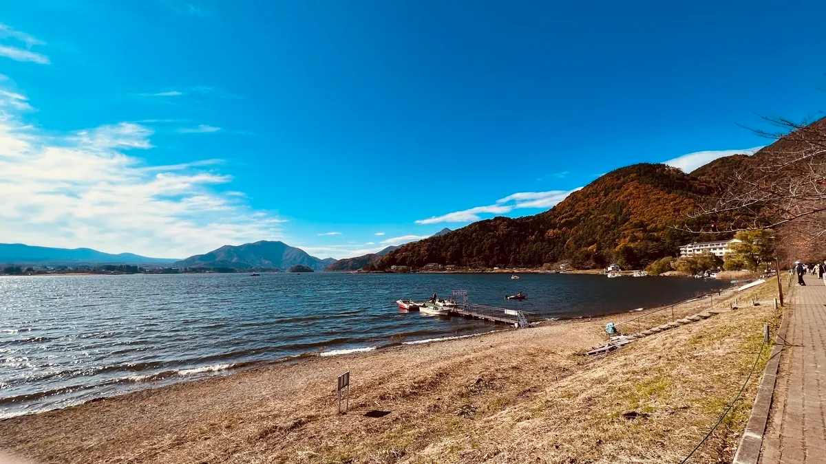 河口湖和红叶