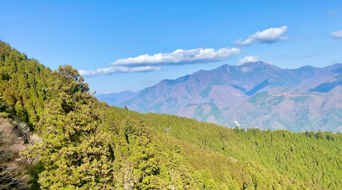 从索道看到的景色