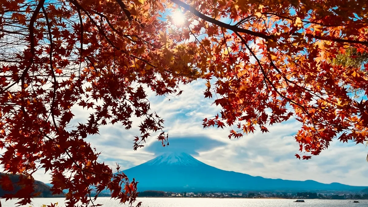 富士山和红叶