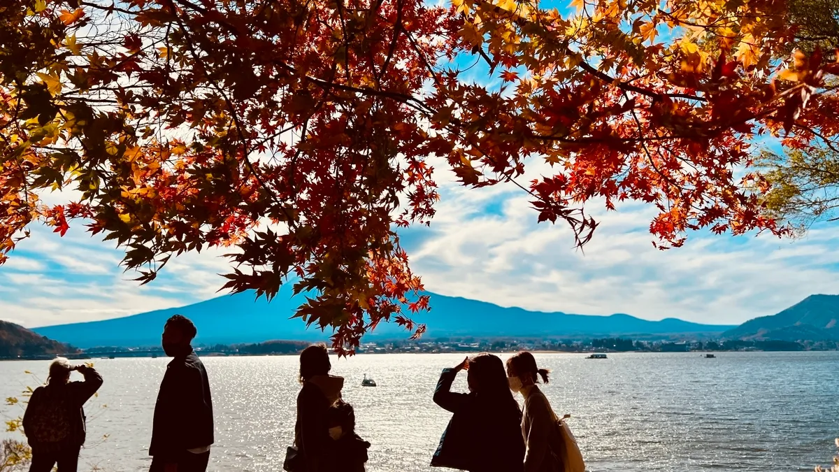 富士山和红叶