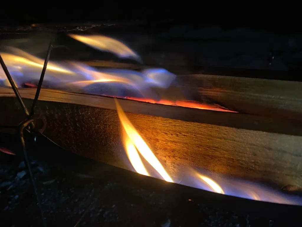 木柴和烧烤