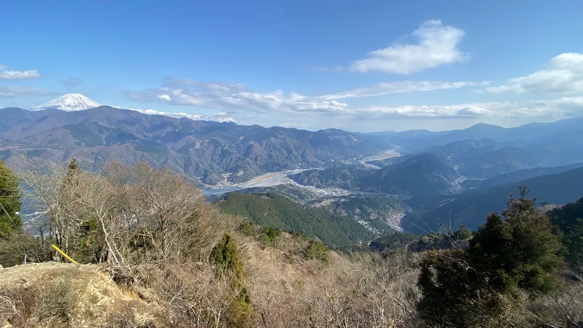 从展望台看到的景色