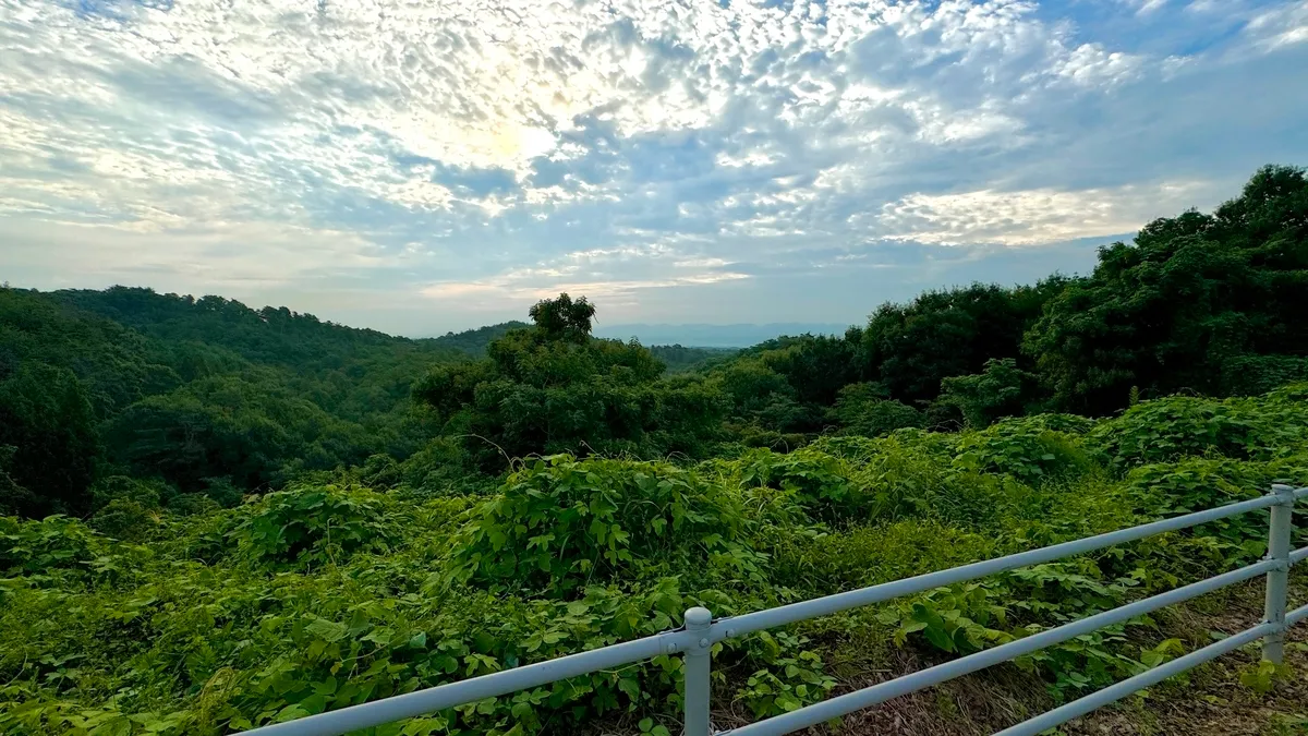 从山顶的眺望