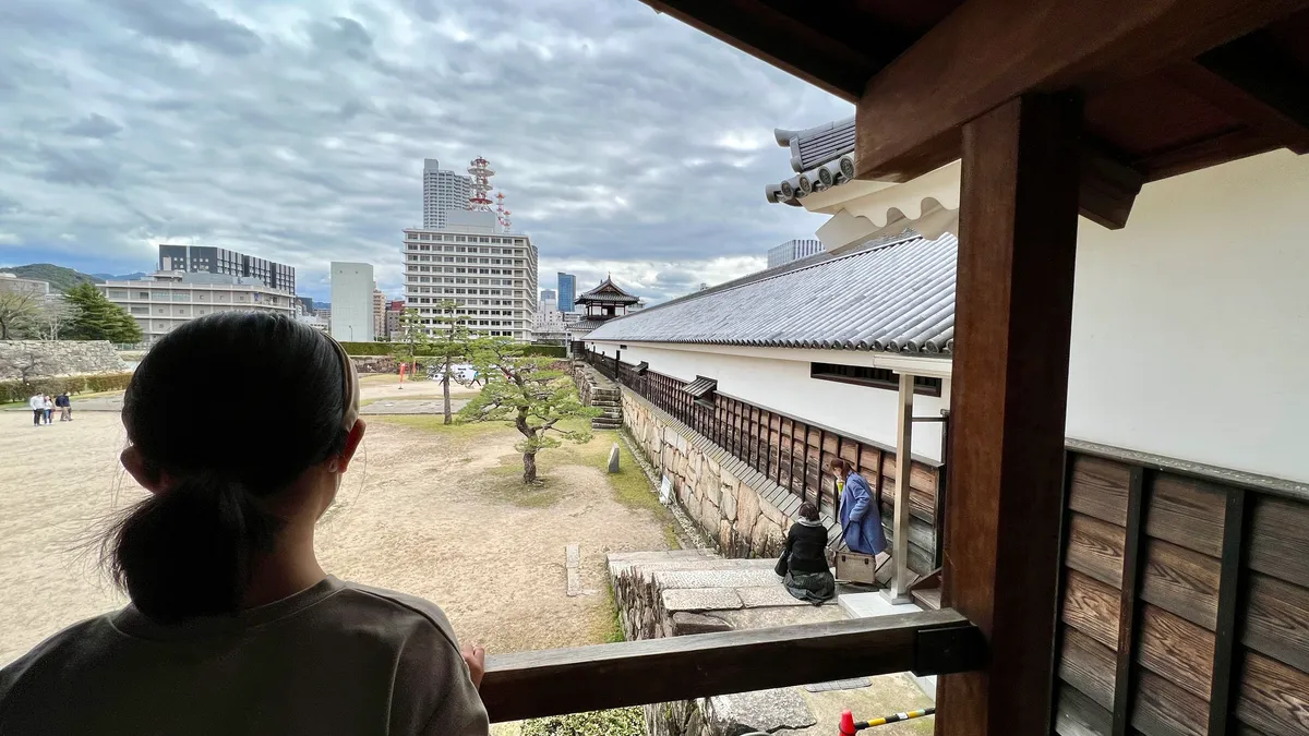 从正门的视野