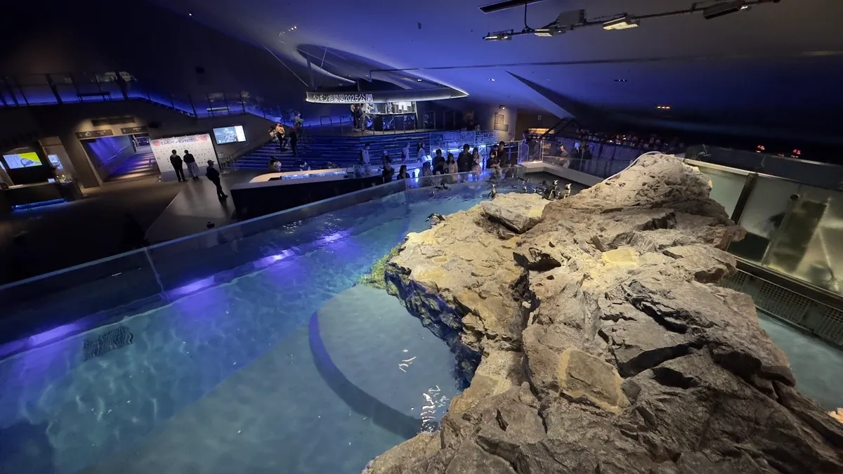 水族馆内
