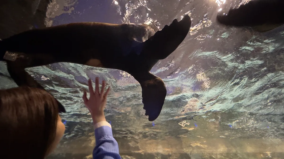 水族馆内
