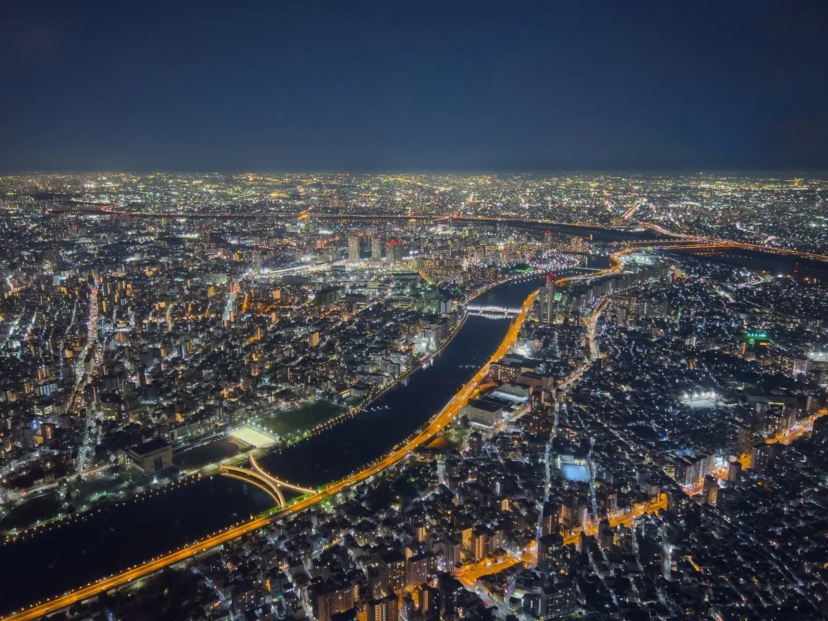 从晴空塔可见的夜景