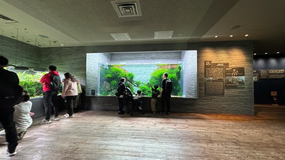 水族馆内