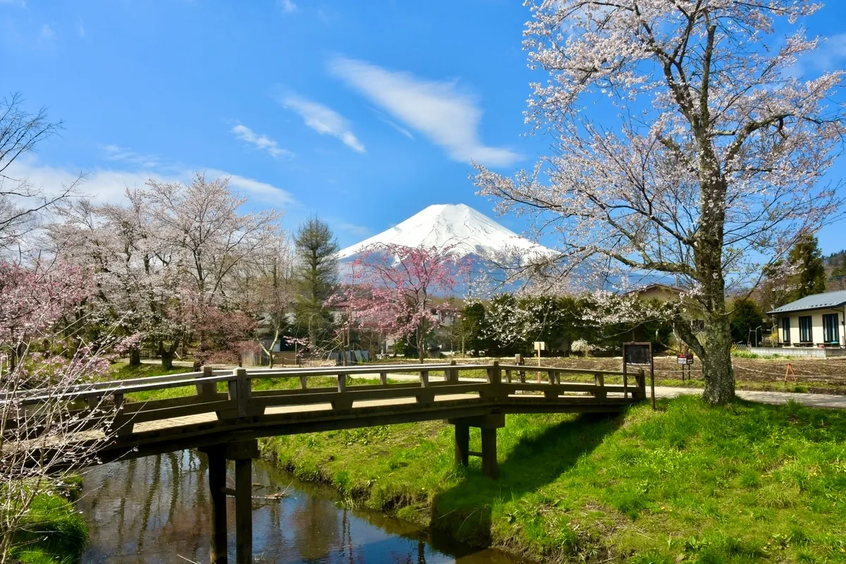 忍野八海