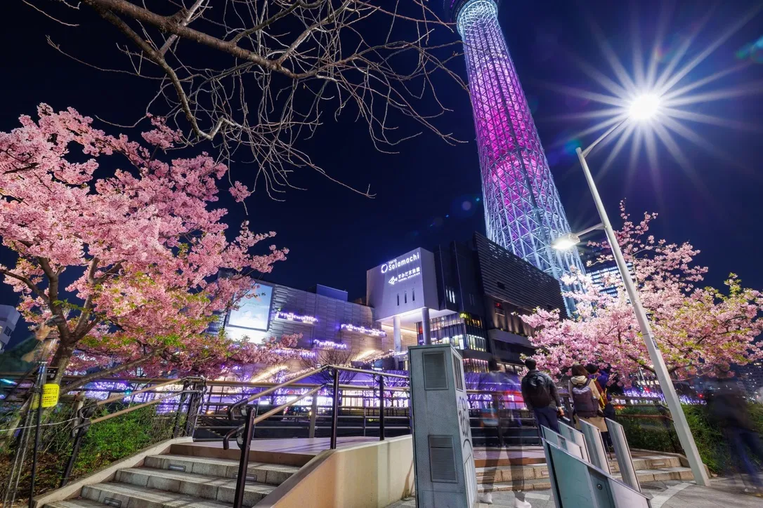 东京晴空塔的灯光秀