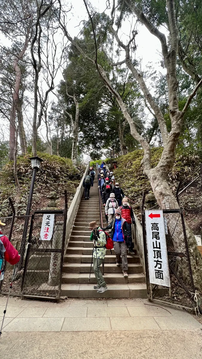 通往山顶的台阶