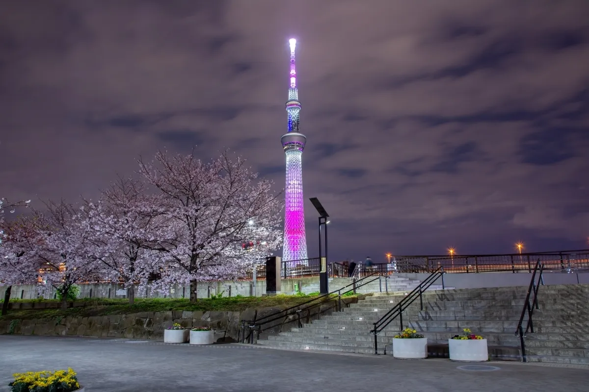 从隅田公园观看的晴空塔灯光秀