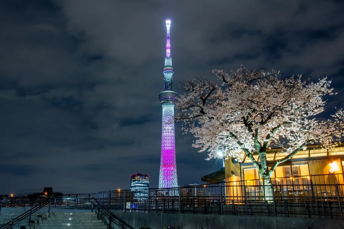 从隅田公园观看的晴空塔灯光秀