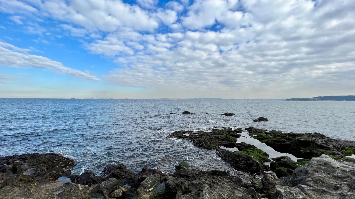 从海滩看的景色