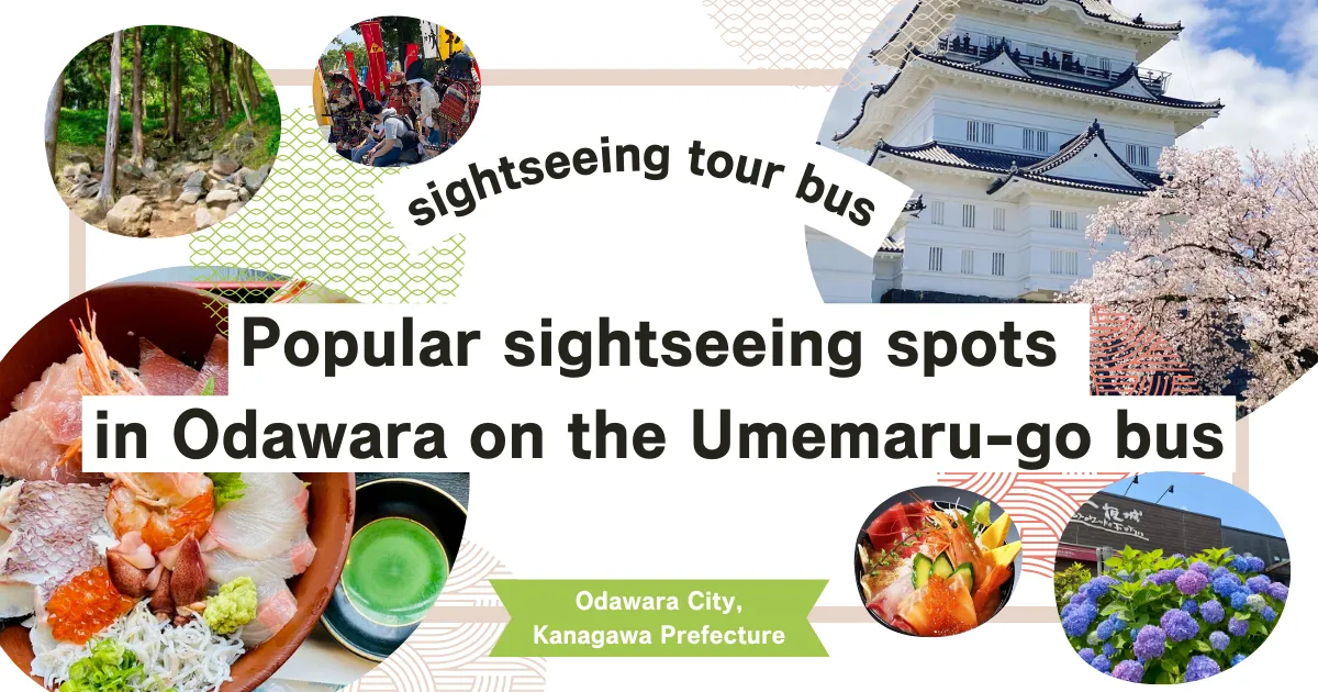 从小田原站搭乘观光巴士“梅丸号”可前往小田原的人气观光景点