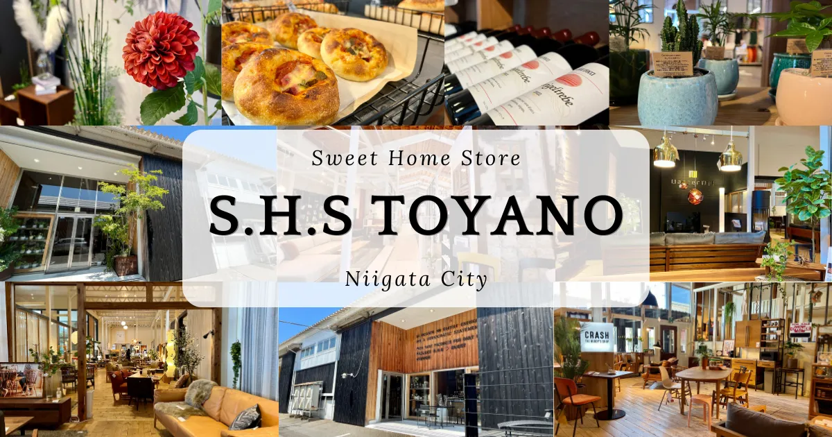 S.H.S Toyano：新泻颇受欢迎的家具和室内装饰店。整体空间设计非常精彩。